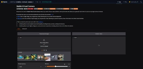 Stable Virtual Camera