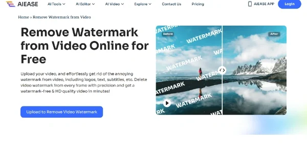 Video Watermark Remover